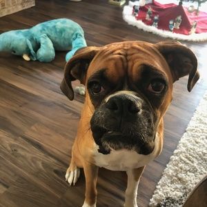 Meet your Posher, Brad